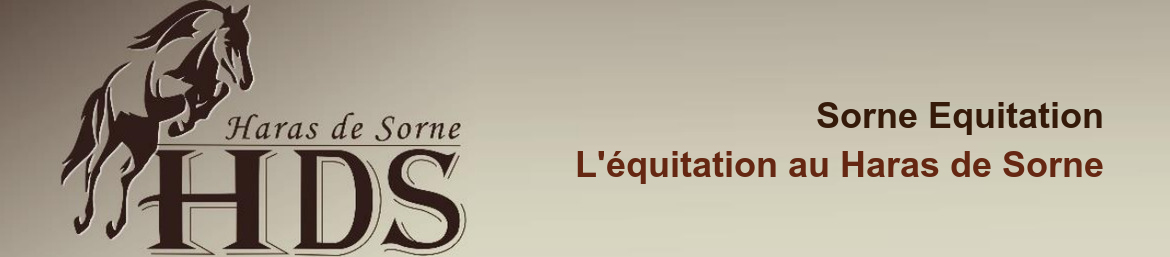 Sorne Equitation